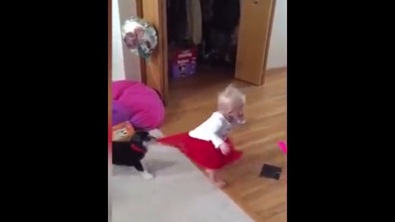 funny dog 👻👻and cute baby 👴👴Compilation