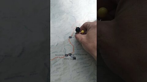 watch Raldo #walkitout