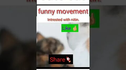 cute cat funny movement || #shorts #youtubeshorts #funnyvideo #funny #intrestedwithnitin(2)