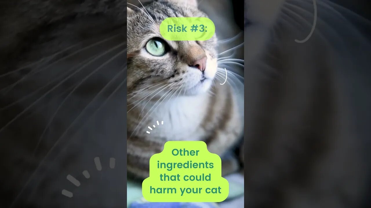 Are Alternative Treatments Safe For Cats?#shorts
