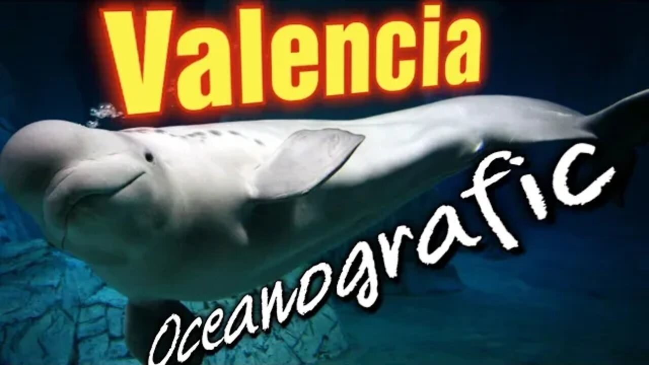 Will this Spanish Aquarium be the last place to see sealife?
