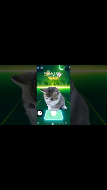 cat sing marshmello part 1 #shorts #music #tileshop #cat #mobilegaming #dance #animalsong