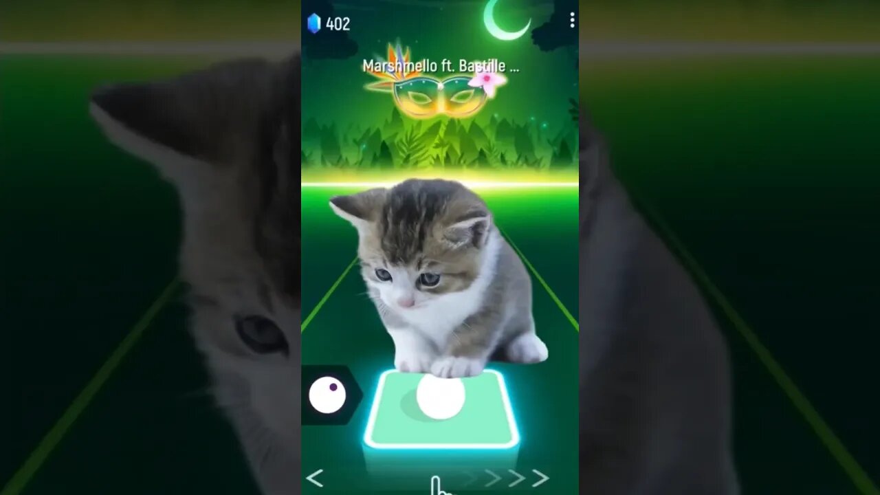 cat sing marshmello part 1 #shorts #music #tileshop #cat #mobilegaming #dance #animalsong