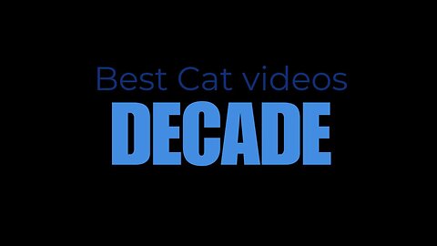 Best Cat Videos of the Decade