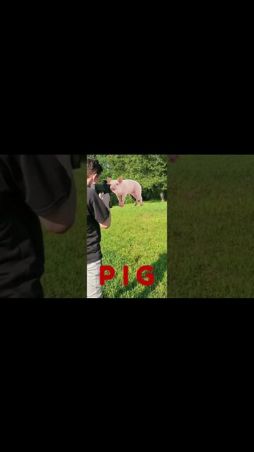 Playing Pig with Airsoft Guns Who is The Pig?? #shorts