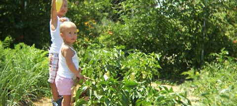 Child packing in garden