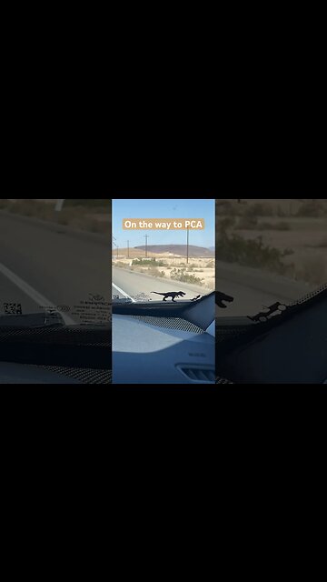 Road Trip! #roadtrip #car #jeep