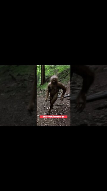 Yeti or Sasquatch on Trail Cam? #shorts