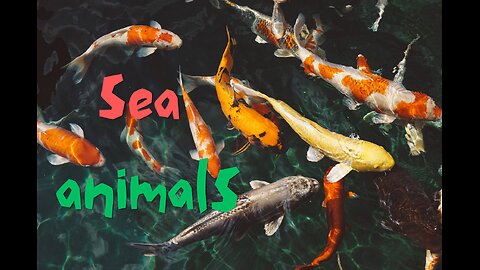 Underwater Animal Toys