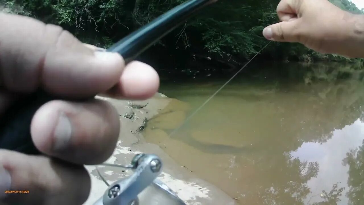 Fishing adventure 7/20/23: My PB White Perch!