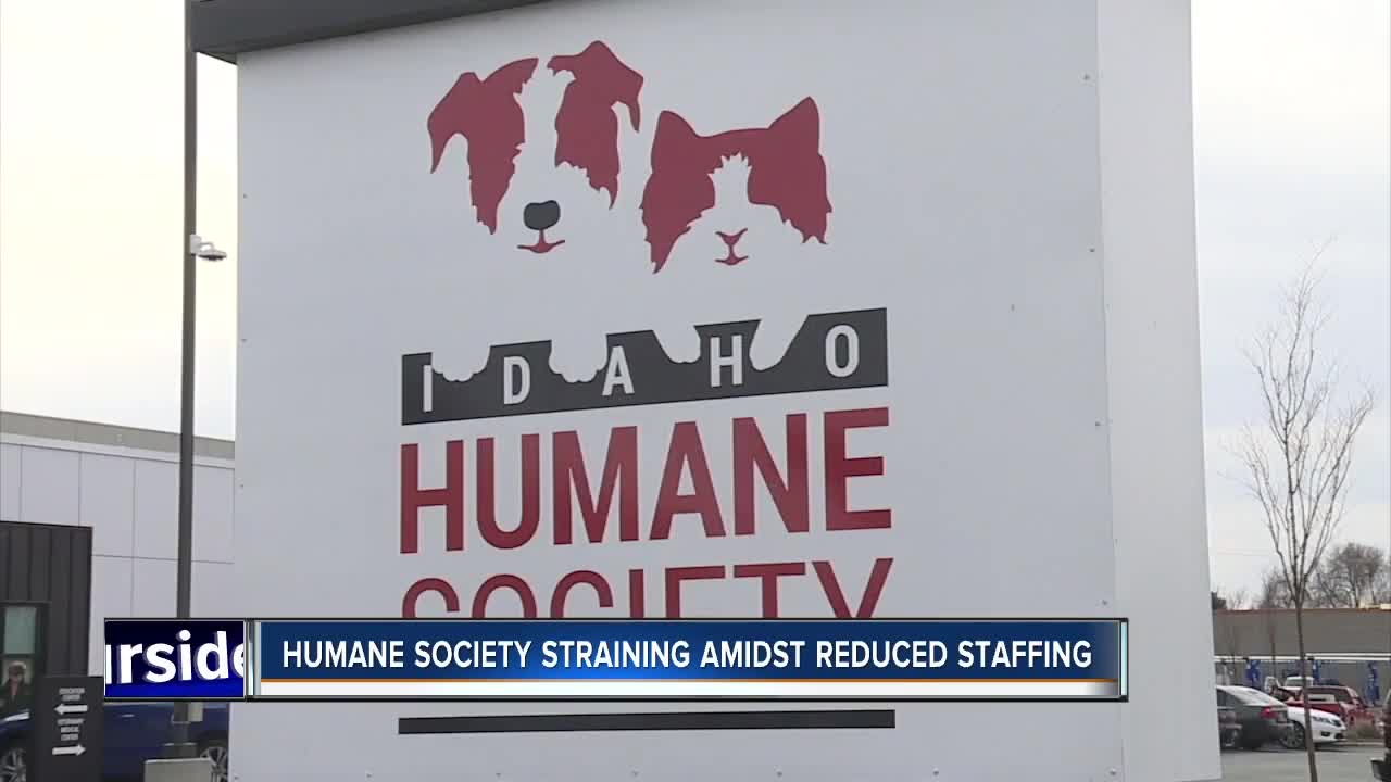 Idaho Humane Society asking for donations for veterinary medical center