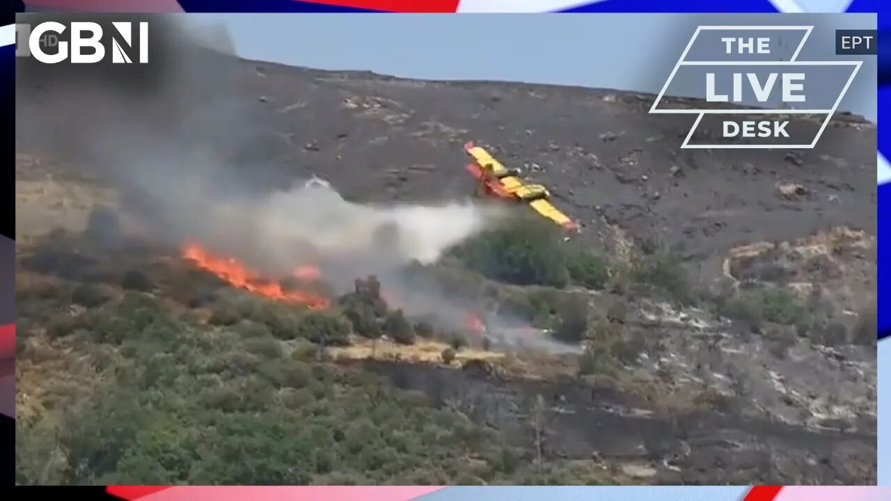 Greece wildfires: Plane crashes whilst tackling blaze on Greek island of Evia