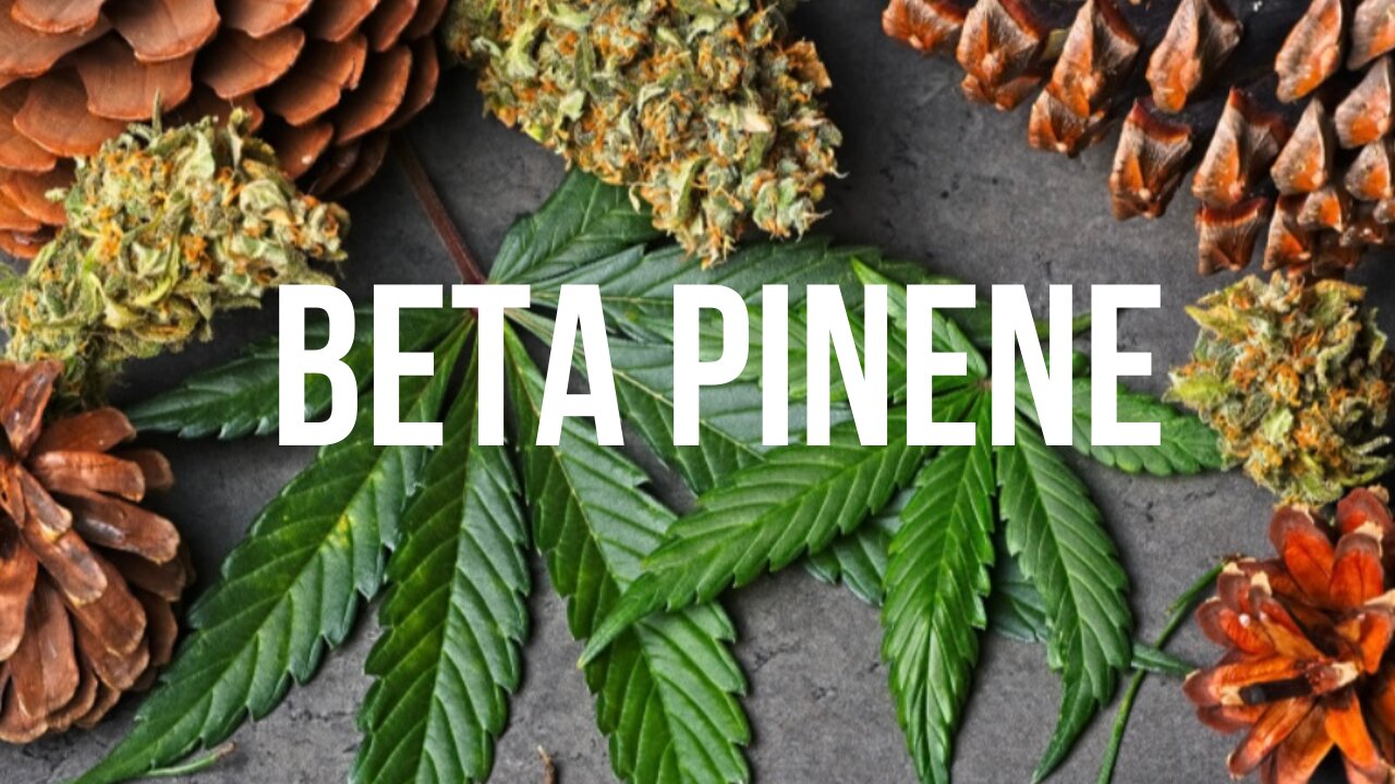 Pinene- a cannabis terpene