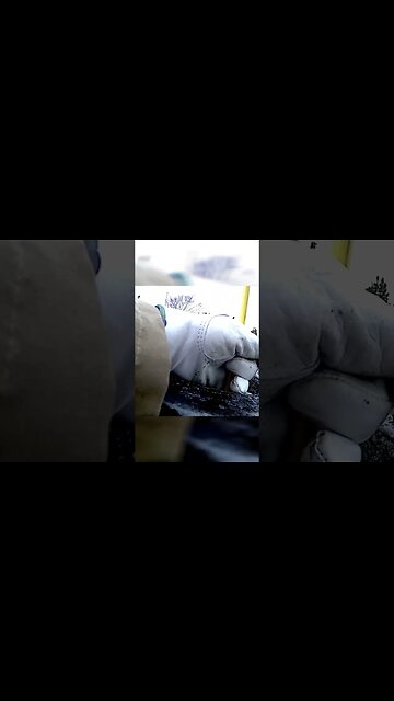 Chimney safety is important. #shorts #short #safety