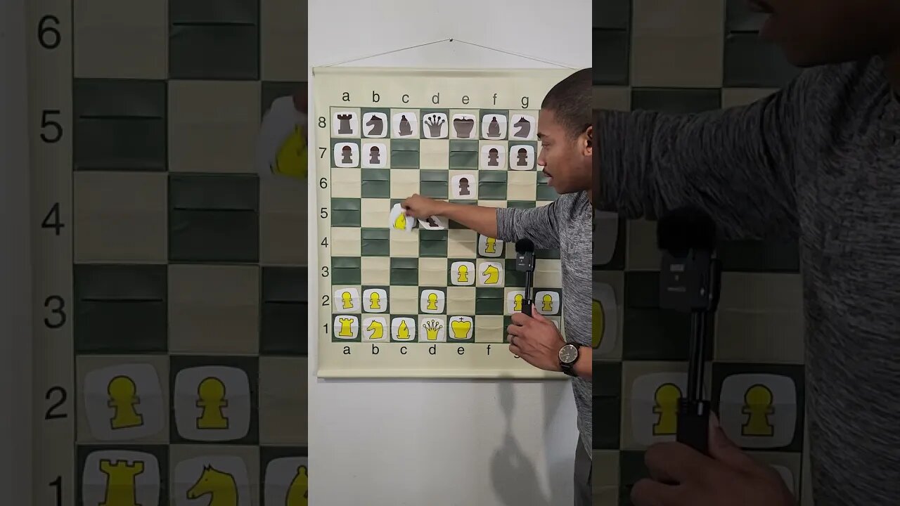 What is the Sturm Gambit in Chess?