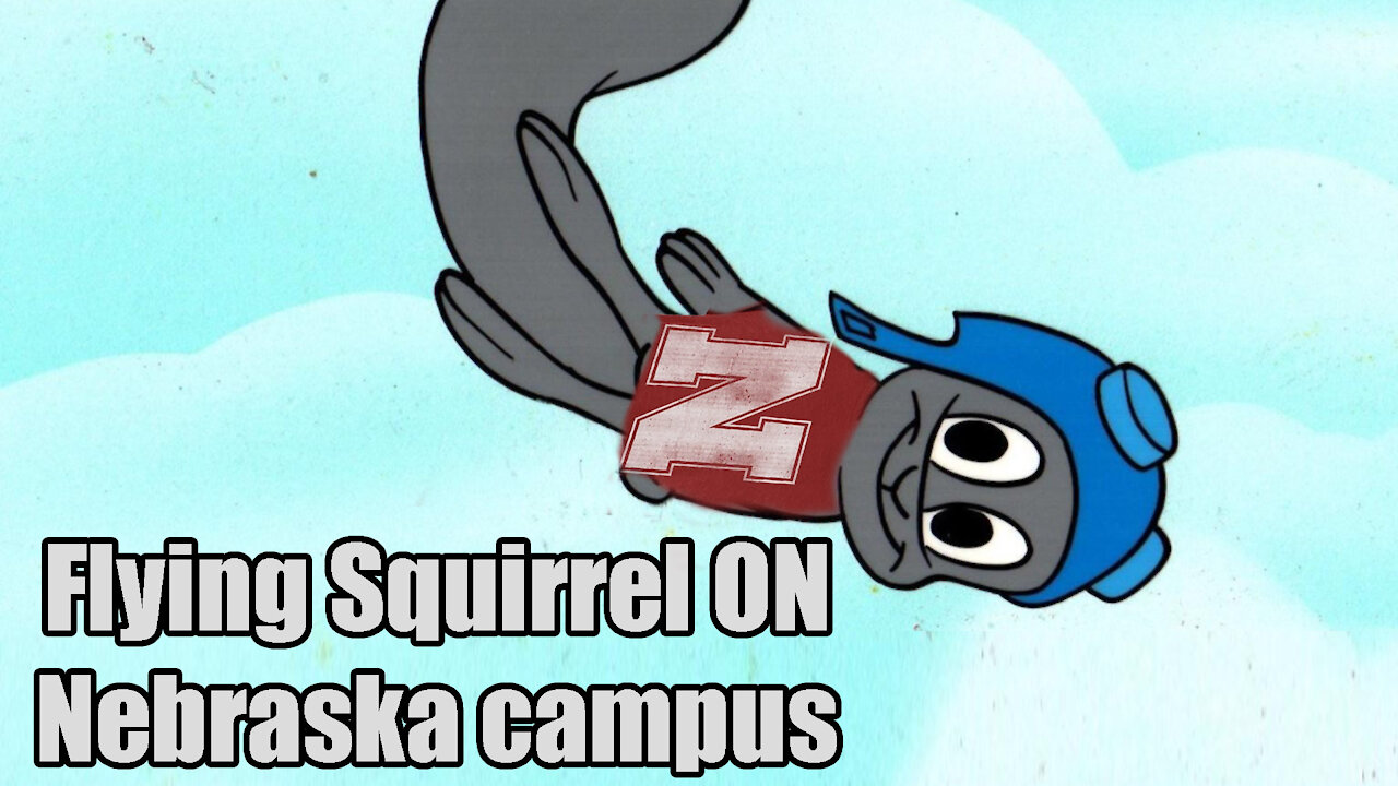 Nebraska Flying Squirrel🐿 Causes a Stir on University🎓 Campus Reaction