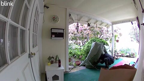 NORTH_VIDEO_DOOR_BELL_2023-04-30T14_52_49-0400.mp4