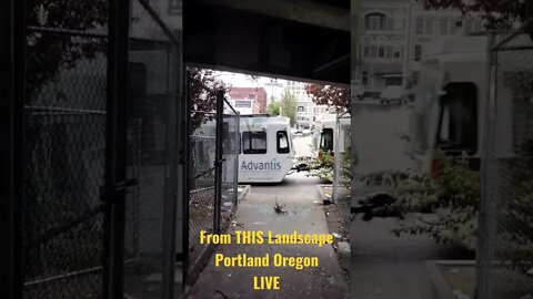 Underpass Looking West (WATCH LIVE) Thanks For Watching From This Landscape