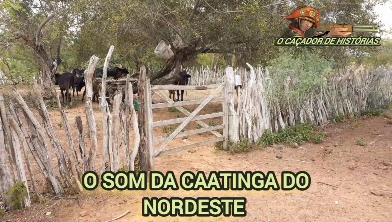 O SOM DA CAATINGA DO NORDESTE