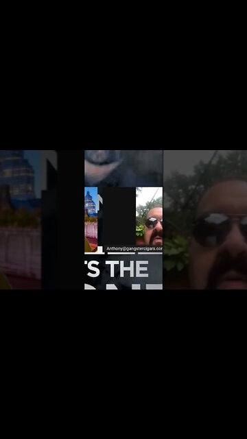 Mob Rats #joerogan #mrbeast #mafia #mobboss #mob