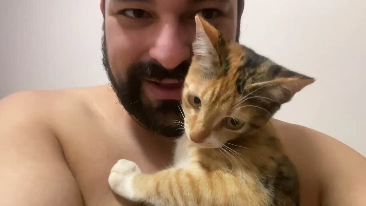 Minha gata não gostou do arranhador da BrinQpet, não vale a pena!