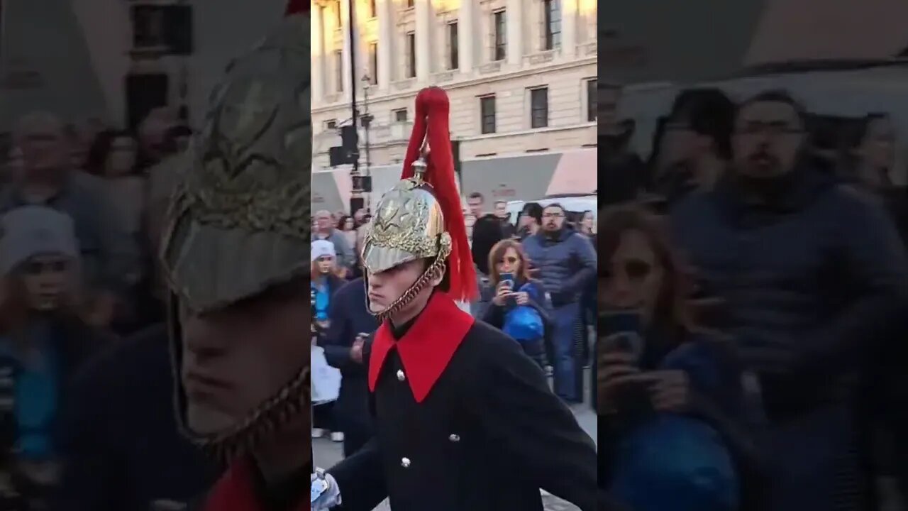 Tourist scared of guard 😱 #horseguardsparade