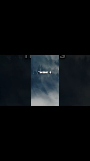 Listen to full meditations at Women's meditation network channel #meditation #sleep #shorts