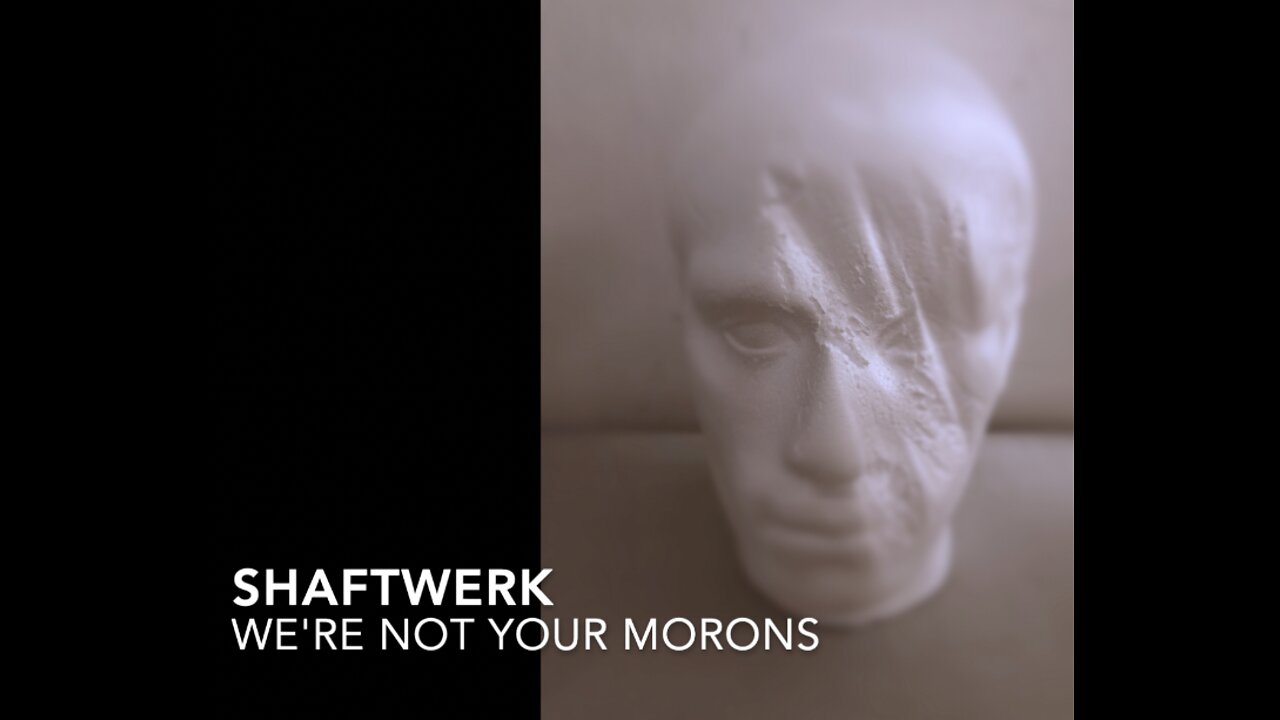 Shaftwerk - We're Not Your Morons