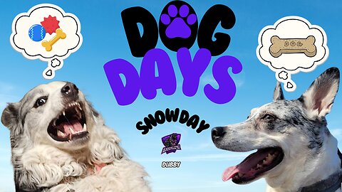 Dog Days: Snow Day