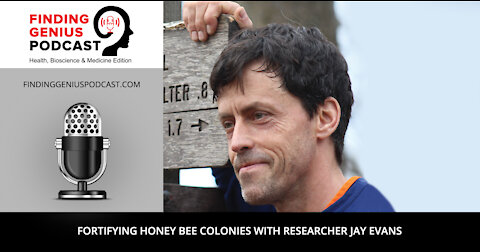 Fortifying Honey Bee Colonies with Researcher Jay Evans