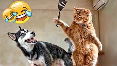 You Laugh You Lose 🙀 New Funny Animals 2024 🤣🙀