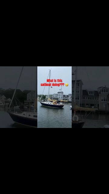 When you have nothing better to do 🤣⛵️#boating #shorts