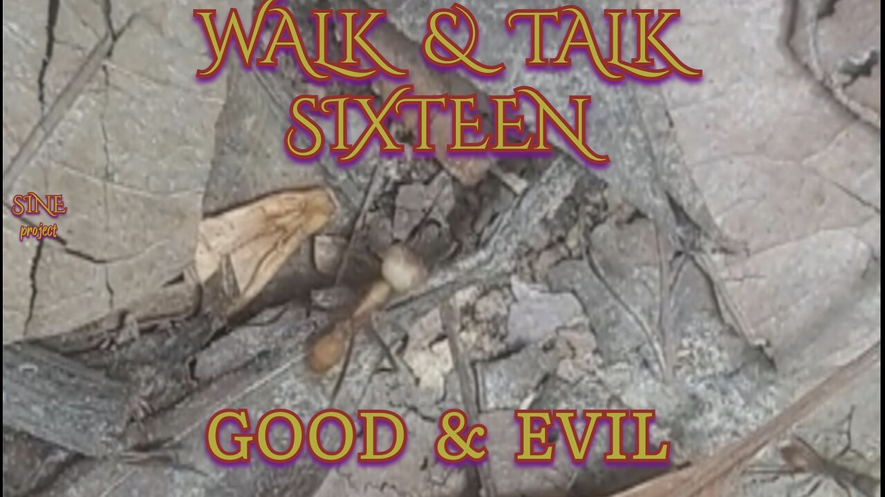 WALK AND TALK 16 / GOOD & EVIL