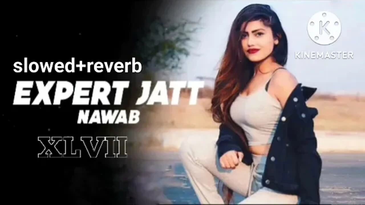 expert jatt lofi (slowed+reverb) | nawab chill | relaxing | mood | party song