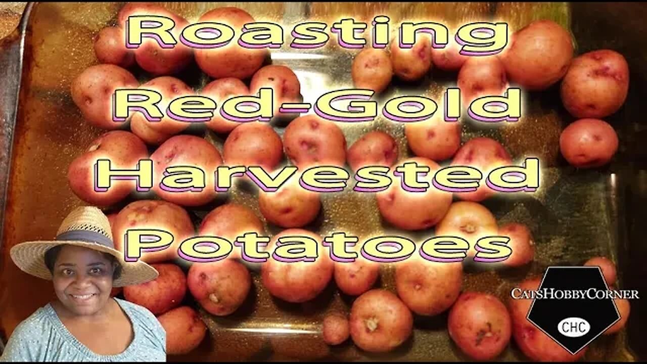 #roasting Our #redgold #harvest #potatoes - #catshobbycorner