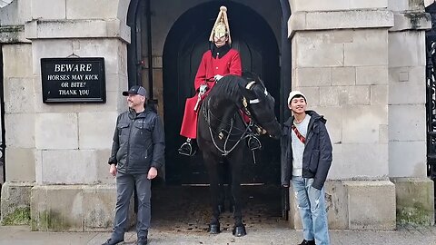 The kings guards horse bites and pulls tourist coat tourist runs (arni THETOURISTHATER) #kingsguard