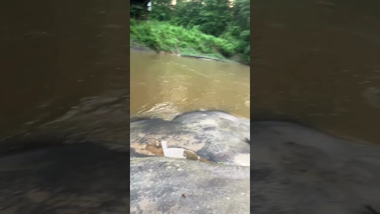 Good morning and happy Saturday! Fishing at the creek #fishing #nature #outdoors