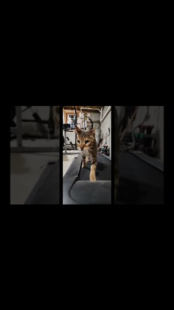 Didn’t Know You Can Move Like That..Smooth Walk