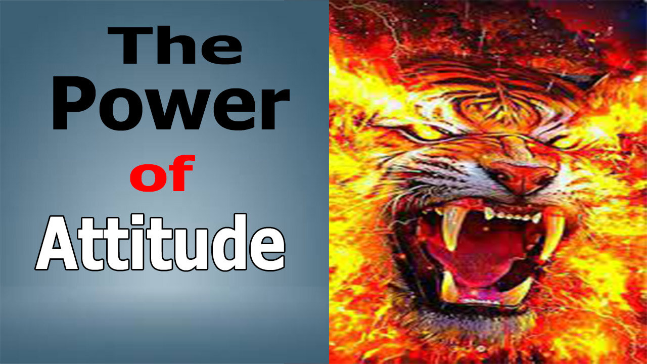 The Power of Attitude | Best Motivational Video | Attitude make You Respectful | daily motivation