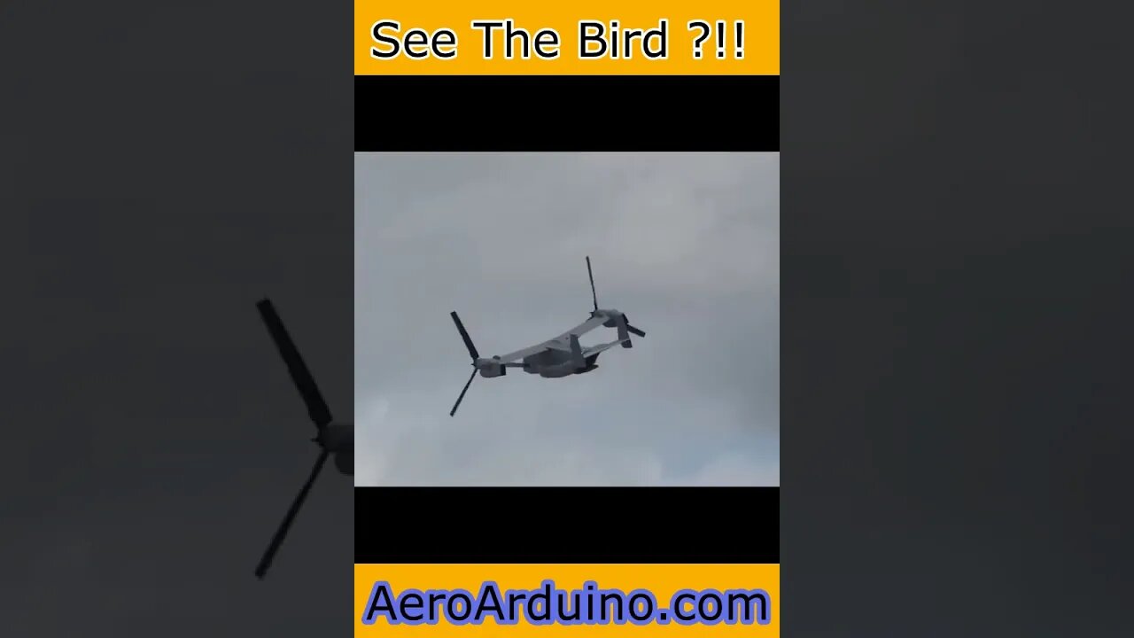 Last Moment of A Bird #Flying into A Helicopter #Aviation #AeroArduino