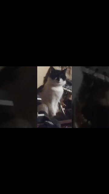 he knocked everything off this table