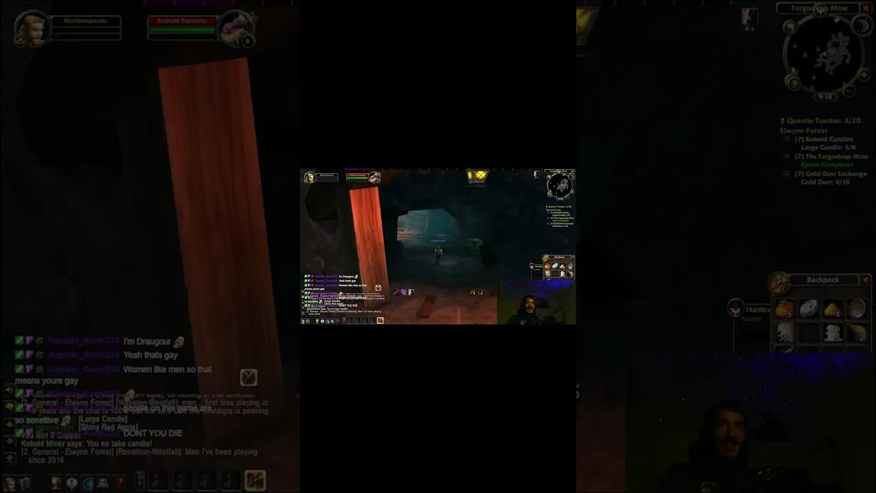 Classic WoW Hardcore Death