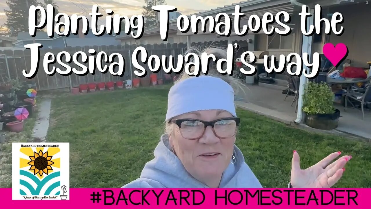 Tomatoes 🍅 in the ground 2023 ~ Planting the Jessica Soward's way♥