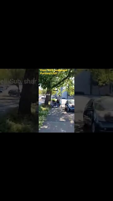 "...LET ME WALK DOWN THE SIDEWALK" - CLIPPED From THIS Landscape (SUBSCRIBE)