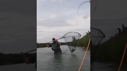Alaskan Kenai Salmon Fishing | TJack Survival