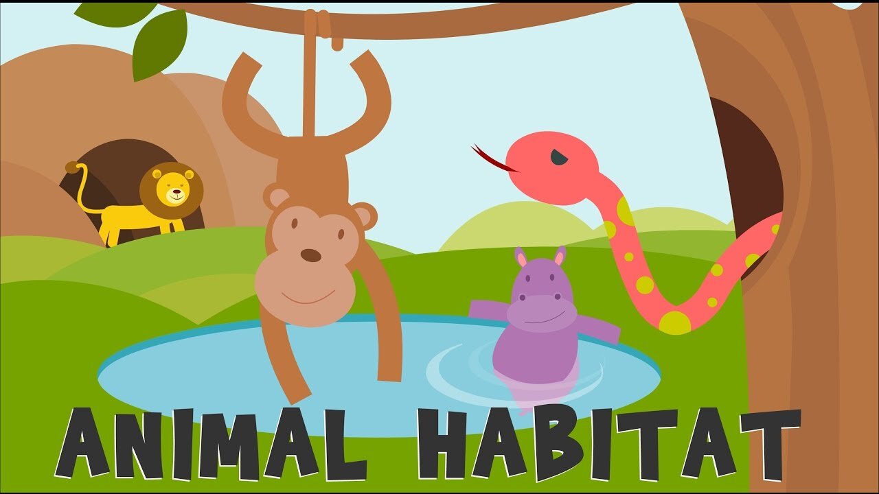 Cute Animals Habitat