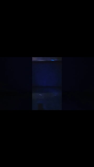 Pacific Spotted Fish