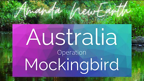 Australia Mocking Bird Media