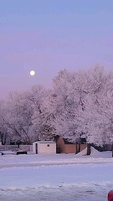 beautiful morning in mohall