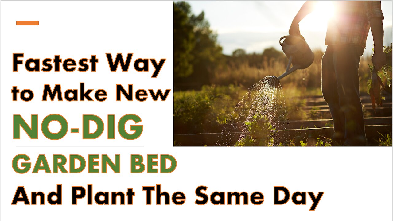 Fastest Way to Make New NO-DIG Garden Bed and Plant the Same Day